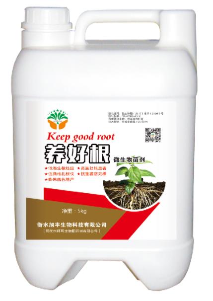 養好根